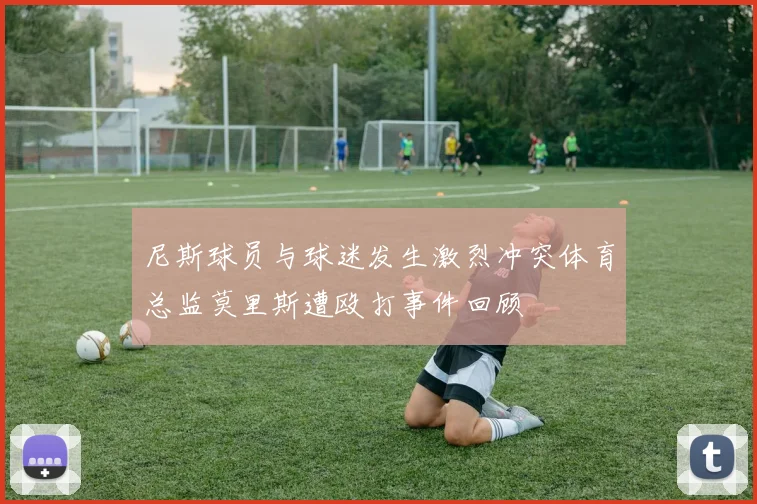 尼斯球员与球迷发生激烈冲突体育总监莫里斯遭殴打事件回顾