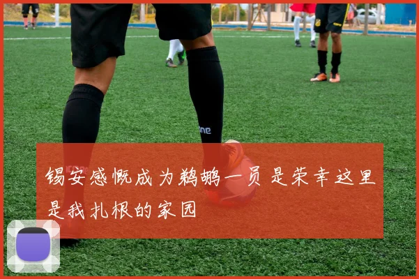 锡安感慨成为鹈鹕一员是荣幸这里是我扎根的家园
