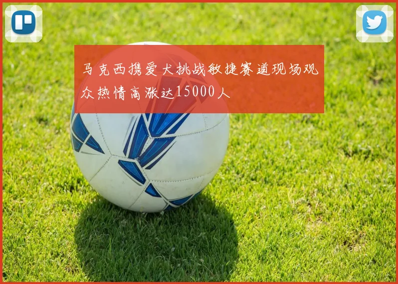 马克西携爱犬挑战敏捷赛道现场观众热情高涨达15000人