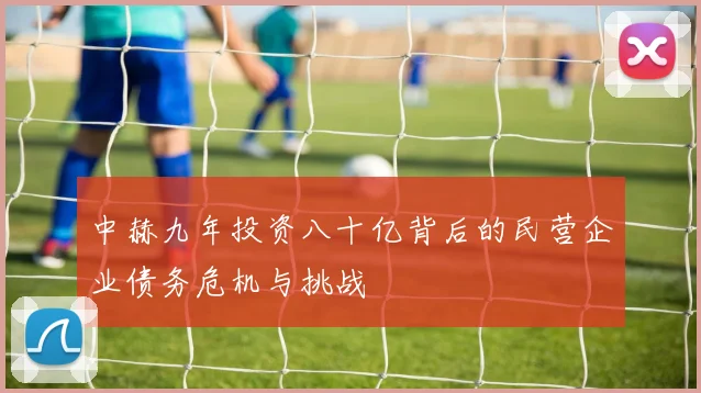 中赫九年投资八十亿背后的民营企业债务危机与挑战